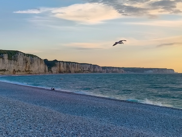 Strand mit Felsen im Hintergrund und einer Möve die durchs Bild fliegt